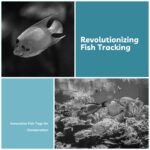Fish tags