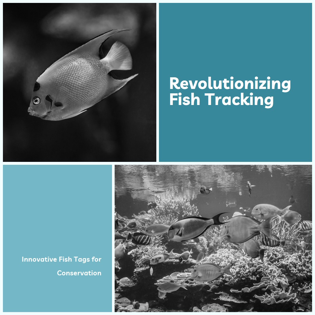 Fish tags