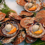 shellfish