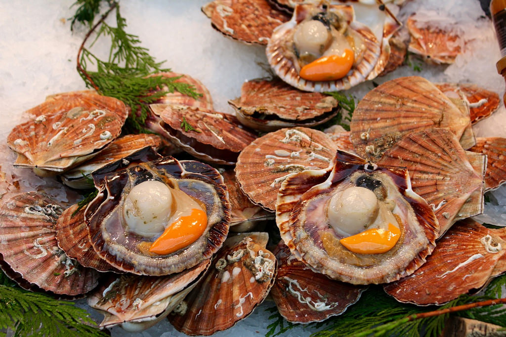 shellfish
