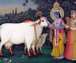 The Significance of Gau Mata in Our Sanatana Dharma