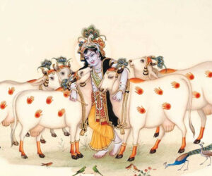 The Sacred Bond Between Lord Krishna, Ganesha, and Gaumata