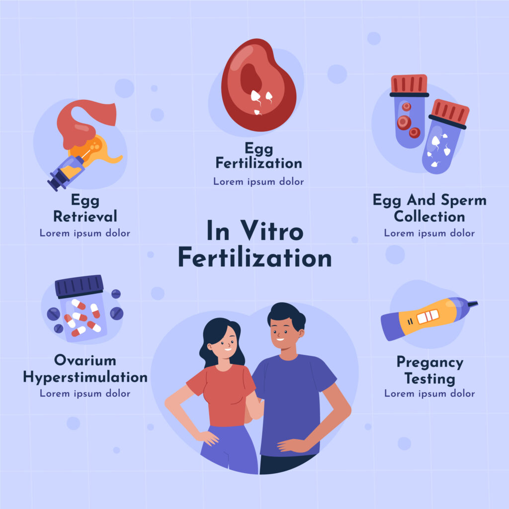ivf cycle