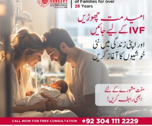 How are egg retrieval and embryo transfer performed during IVF?