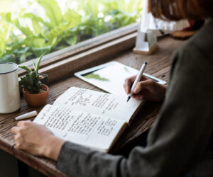 Innovative Marketing Strategies: How Gnome Publishers Connects Authors with Readers
