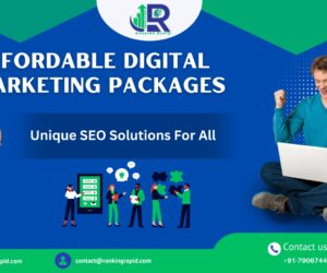 Affordable Digital Marketing Packages; Unique SEO Solutions for All