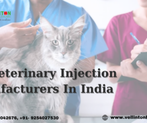 Top Veterinary Injection Manufacturers In India