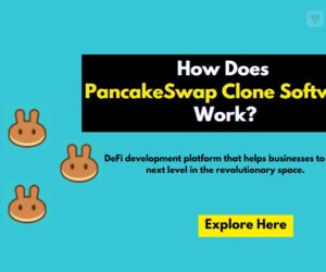 What are the best white label NFT marketplace clones in 2024?