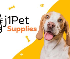 Affordable Animal Hospital Eagle Rock: Compassionate Care for All Pets