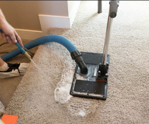 Customer Testimonials: Why Families Trust Carpet Pros for Their Homes