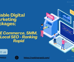 Affordable Digital Marketing Packages; E-Commerce, SMM, Local SEO – Ranking Rapid