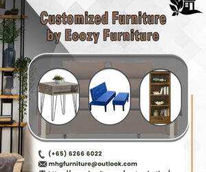 Customized Furniture