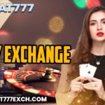 sky exchange id