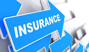 Why it is important to have term life insurance in 2024?