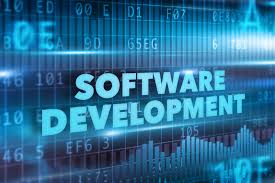 What is a Software Development Company?