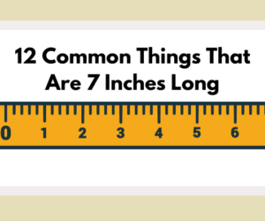 How Big is 7 Inches? A Comprehensive Look