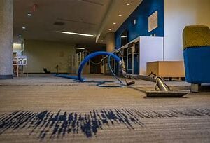 The Benefits of Professional Carpet Cleaning for a Healthier Home Environment