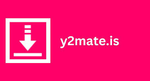 Free video downloading tool for website