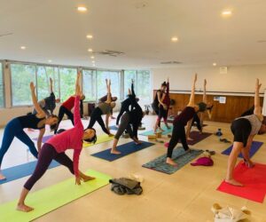 Find Your Calling with 200-Hour Yoga Teacher Training in Rishikesh