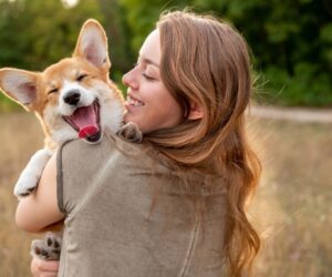 Providing The Best Nutrition For Your Furry Companion