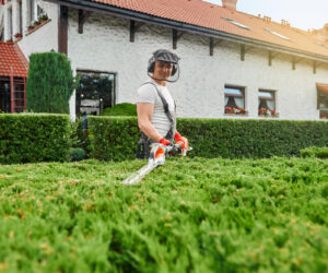 The Benefits of Professional Grading for Your Landscape
