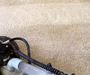 How Weather Affects Your Carpets in Ames: Tips for Each Season