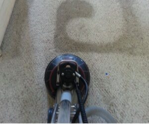 How We Handle Water Damage and Stains Quickly