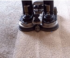 The Importance of Regular Carpet Cleaning for Allergy Sufferers