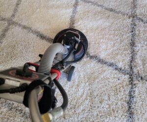 What is the best way to clean a carpet?