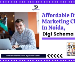Affordable Digital Marketing Classes in Noida, Digi Schema