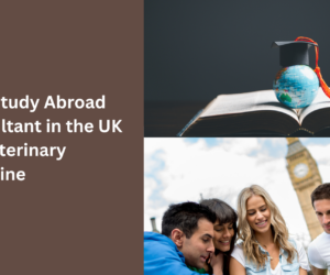 Best Study Abroad Consultant in the UK for Veterinary Medicine