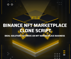 Binance NFT Marketplace Clone Script: A Perfect Choice for Startups