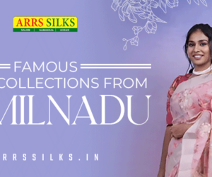 Where Can You Find Famous Saree Collections From Tamilnadu?