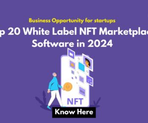 Business Opportunity for Startup Top 20 White Label NFT Marketplace in 2024