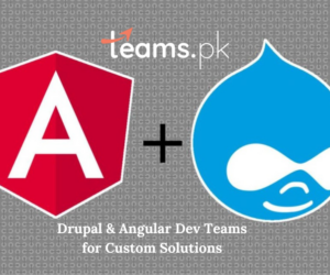 Drupal & Angular Dev Teams for Custom Solutions
