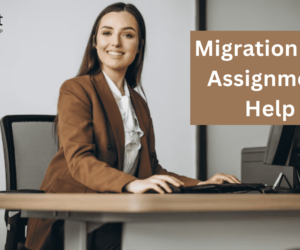 Unlock Success In Economics With Econometrics Assignment Help