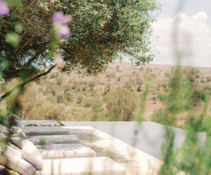 Luxury Under African Skies: Bespoke Safari Journeys in Kenya
