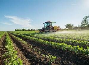 Global Fertilizer Market Analysis And Growth Forecast 2024-2030