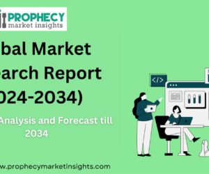 Bra Market Steady Growth in Size & Share Expected
