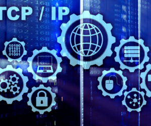 Mastering IP Addressing with the IP Subnet Calculator: A Complete Guide for 2024