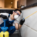 Pest-Free Living in Sharjah Expert Control Services