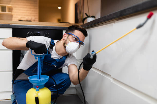 Pest-Free Living in Sharjah Expert Control Services