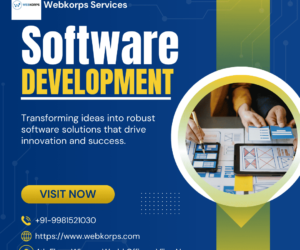 Empowering Businesses with Tailored Custom Software Development