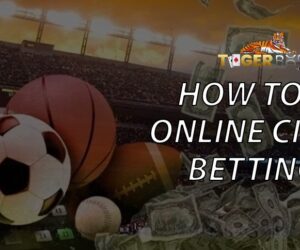 Unlock the Best Online Betting Experience with Online ID Cricket by Tiger Book