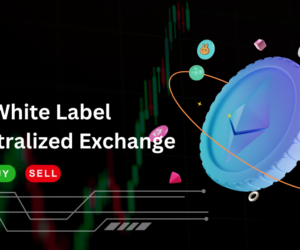 Key Benefits and Features of a White-Label Decentralized Exchange Solution