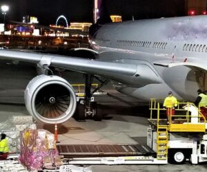 Exploring Sea Freight Services in Dubai: A Comprehensive Guide