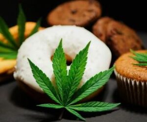 Cannabis Infused Edible Products Market Size, Share, Analysis & Trends Forecast