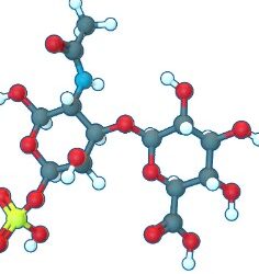 Chondroitin Sulfate Market Size, Share, Demand, Forecast