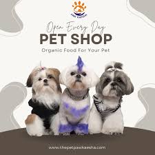 dog grooming dubai price