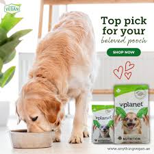 Premium Dog Food Dubai